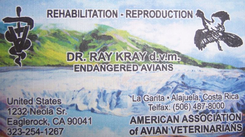 Dr Raymond Krays contact details